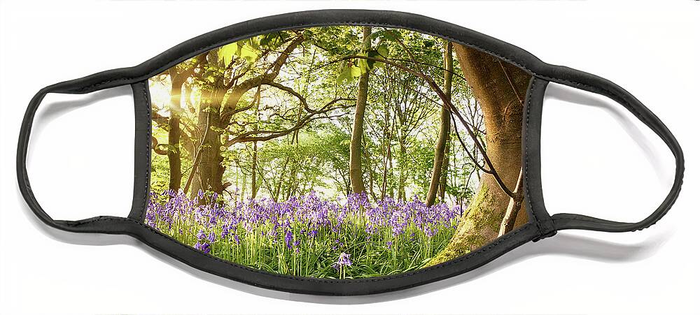Forest Face Mask featuring the photograph Bent tree in bluebell forest by Simon Bratt