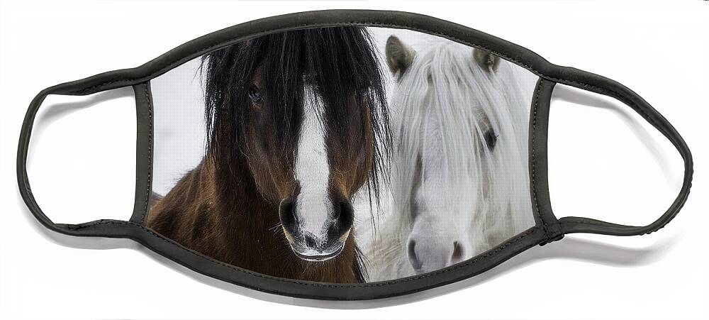 Horse Face Mask featuring the photograph Best Friends II by Everet Regal