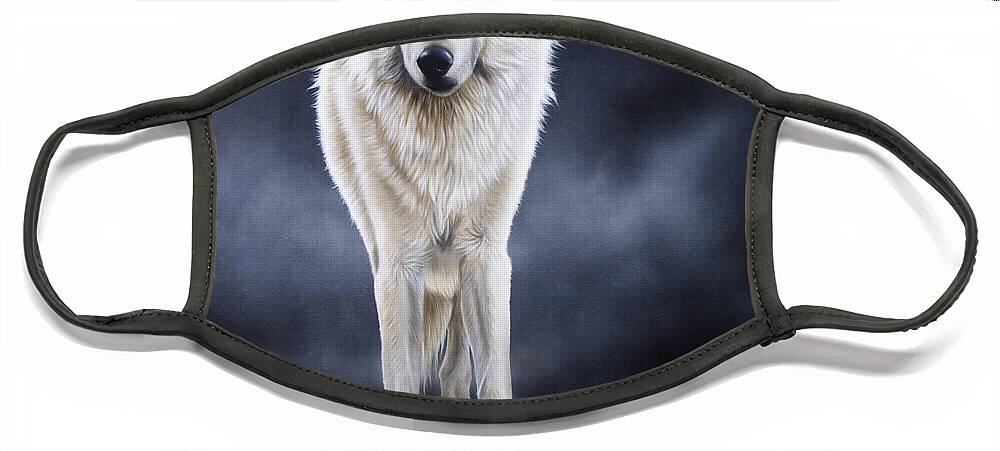 Arctic Face Mask featuring the painting 'Between the White and the Black' by Sandi Baker