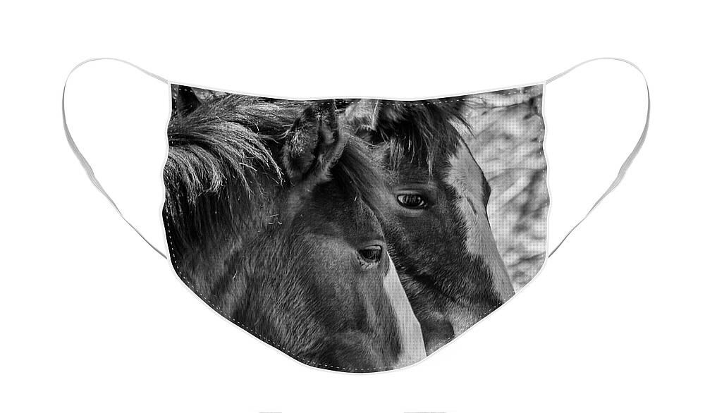 Horses Face Mask featuring the photograph BFFs by Teresa Wilson