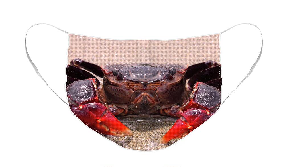 Big Red Crab Face by W Nolan - Pixels