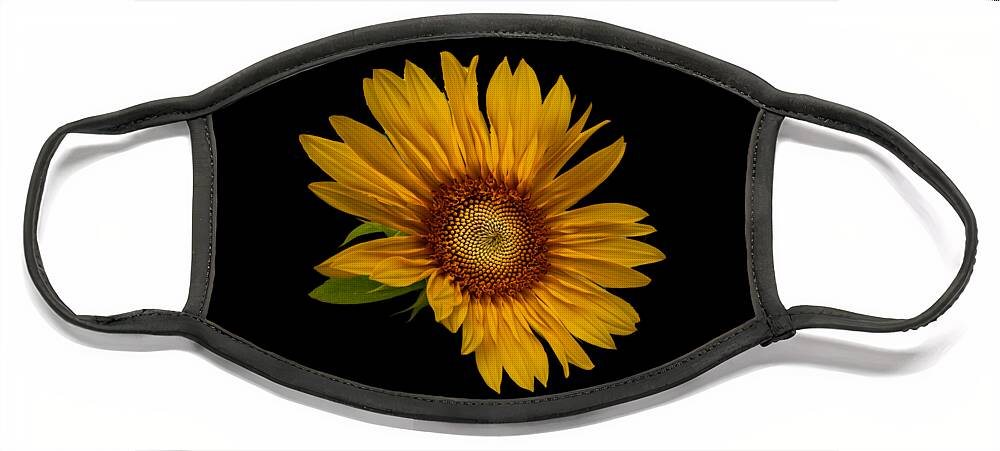 Art Face Mask featuring the photograph Big Sunflower by Debra and Dave Vanderlaan