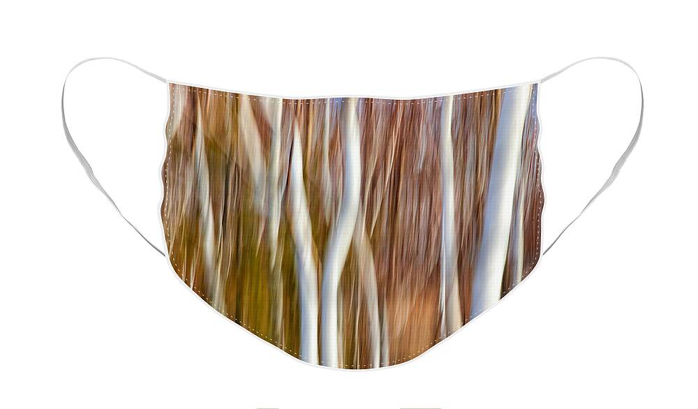 Abstract Face Mask featuring the photograph Birch Abstract No. 5 by Denise Bush