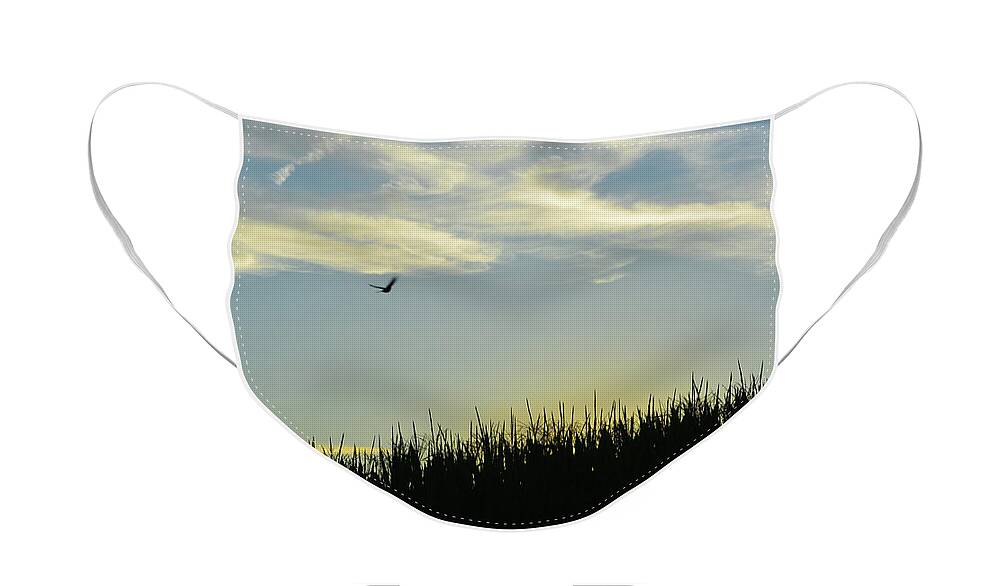 Bird Face Mask featuring the photograph Between Sky and Earth by Tana Reiff