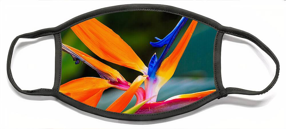 Floral Face Mask featuring the photograph Bird of Paradise by Jade Moon