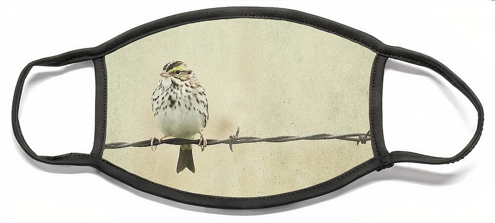 Birds Face Mask featuring the photograph Bird on Barbed Wire by Pam Holdsworth
