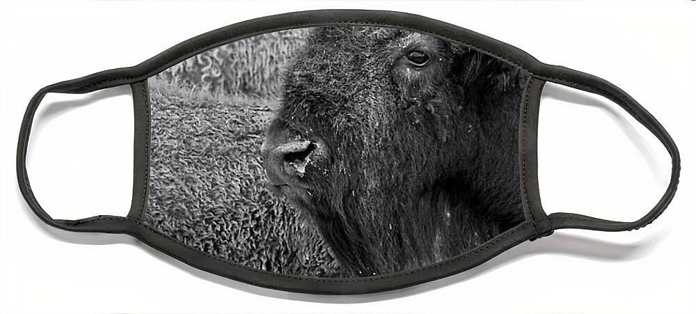 Buffalo Face Mask featuring the photograph Bison - Way Out West by Melany Sarafis