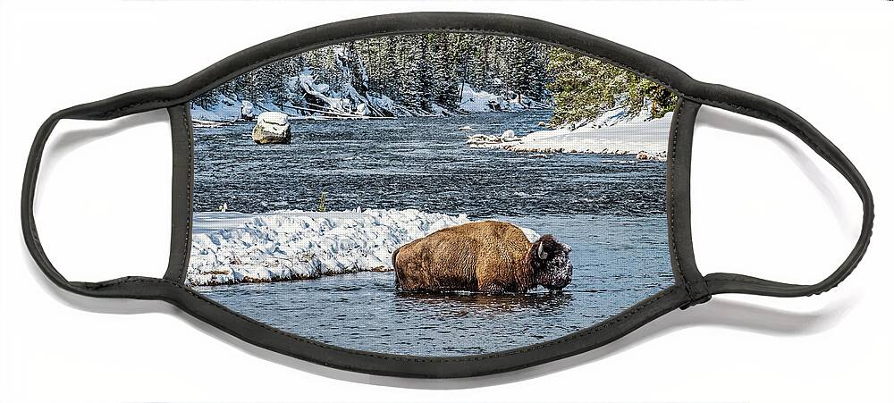 Yellowstone Face Mask featuring the photograph Bison in the River - Yellowstone by Stuart Litoff