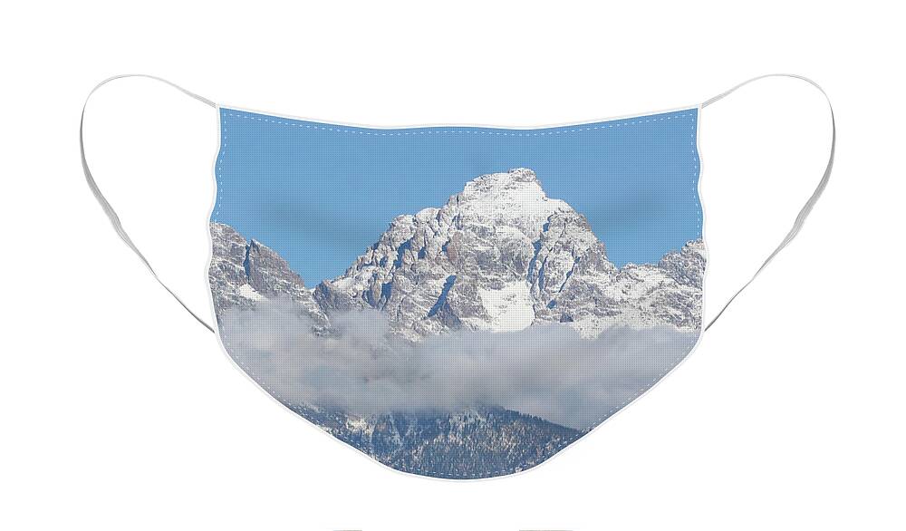 Bison Face Mask featuring the photograph Bison in the Tetons by Wesley Aston
