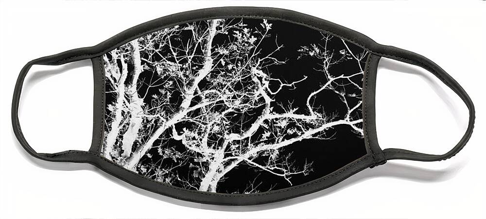 Black And White Face Mask featuring the photograph Black and White Tree Art I by Christina Rollo