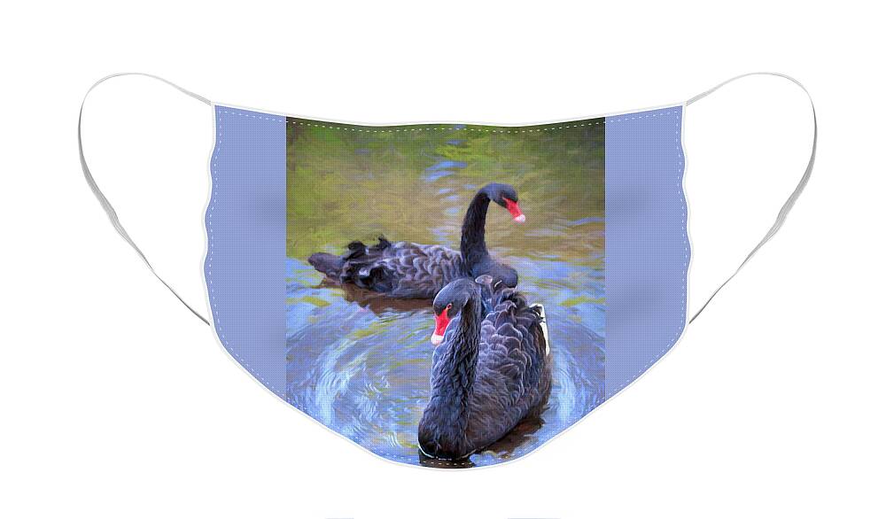 Swan Face Mask featuring the photograph Black Swans by Susan Rissi Tregoning
