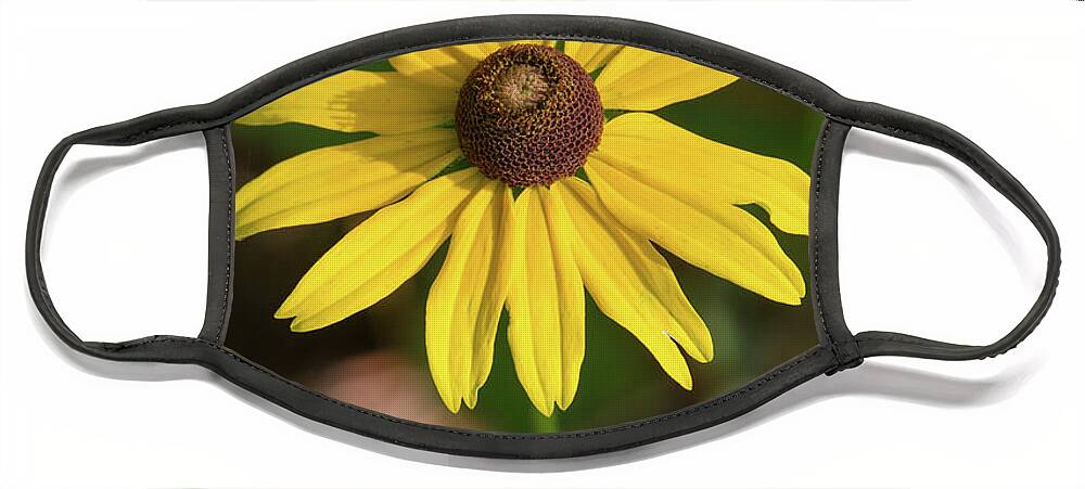 Blackeyed Susan Face Mask featuring the photograph Blackeyed Susan by Paul Rebmann