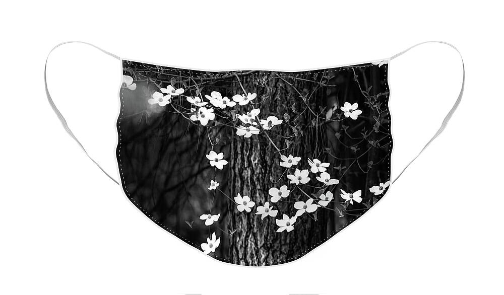 Yosemite Face Mask featuring the photograph Blooming Dogwoods in Yosemite Black and White by Larry Marshall