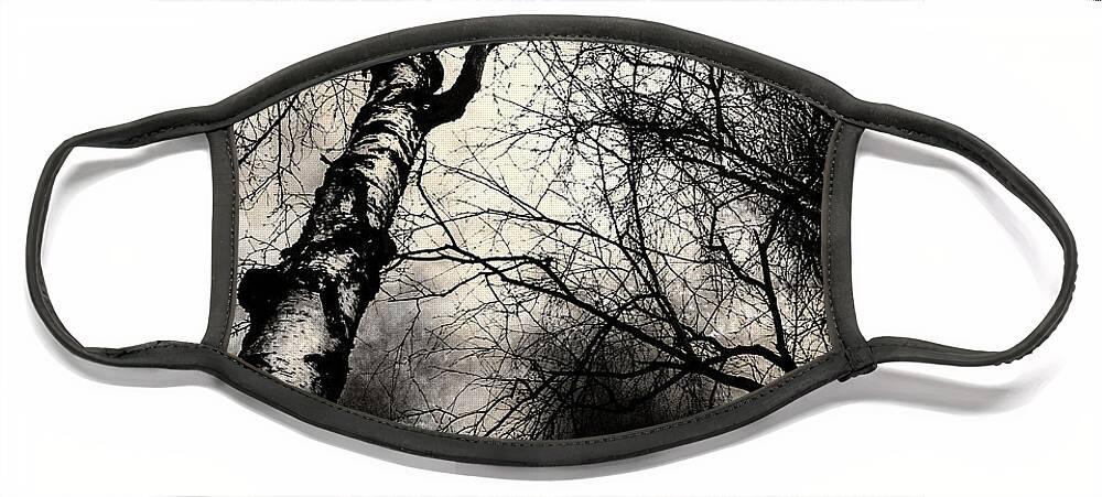 Bark Face Mask featuring the digital art Blooms and Branches by Cindy Collier Harris