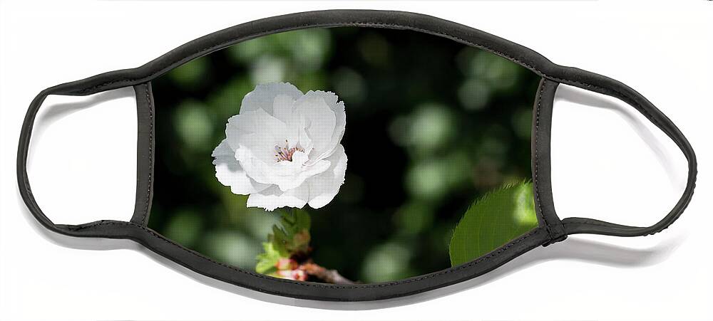 Nature Face Mask featuring the photograph Blossom in the shade by Helga Novelli