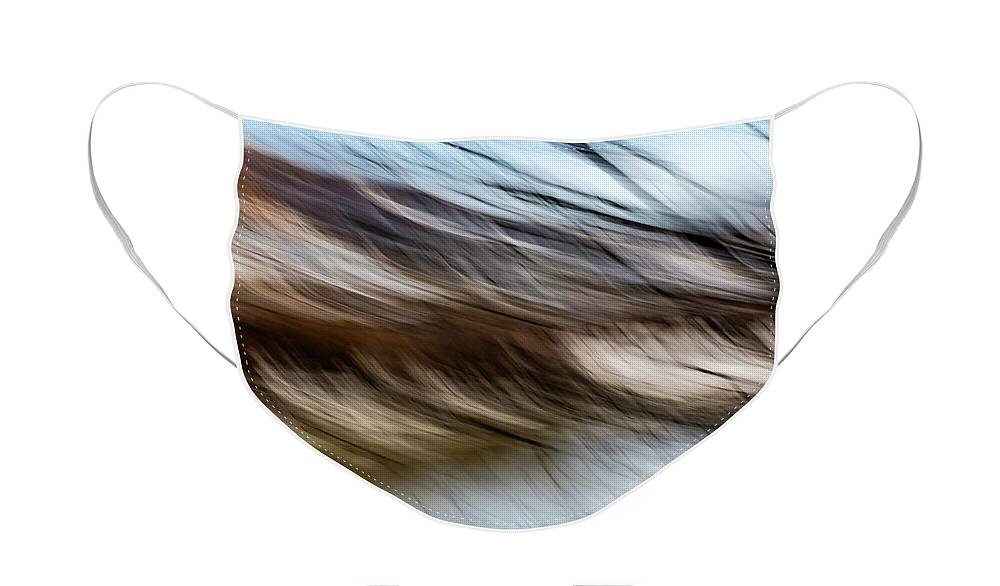 Wind Face Mask featuring the photograph Blown By The Wind by Deborah Hughes