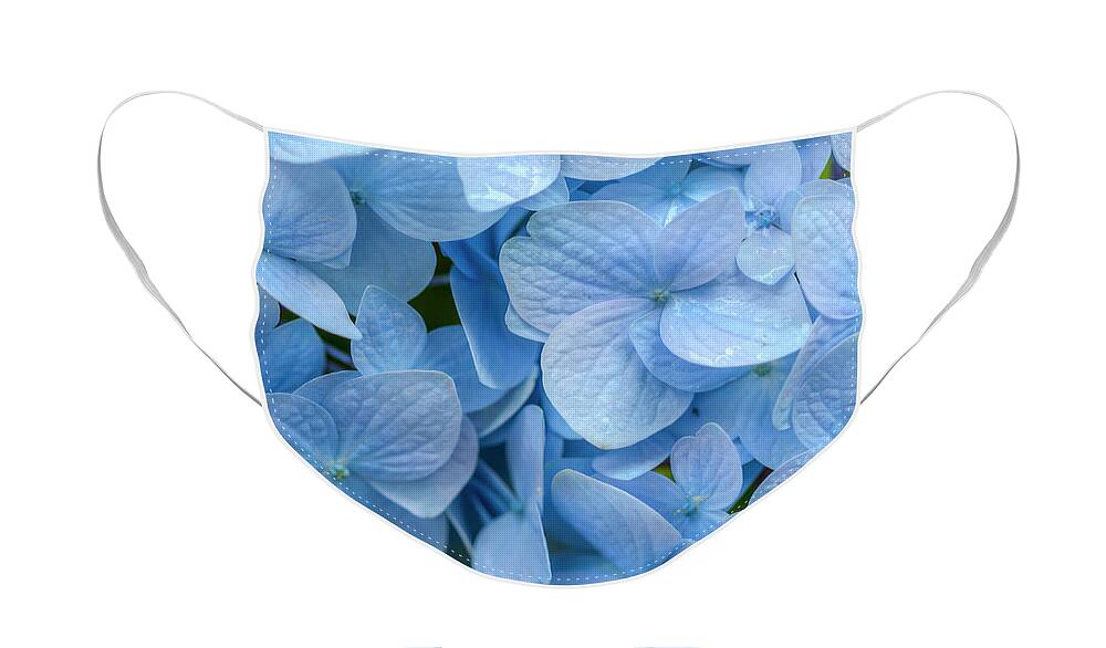 Hydrangea Face Mask featuring the photograph Blue Cluster by Kristina Rinell