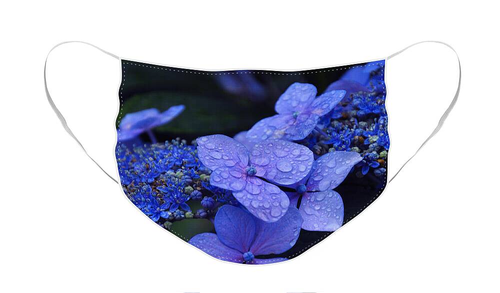 Flowers Face Mask featuring the photograph Blue Hydrangea by Noah Cole