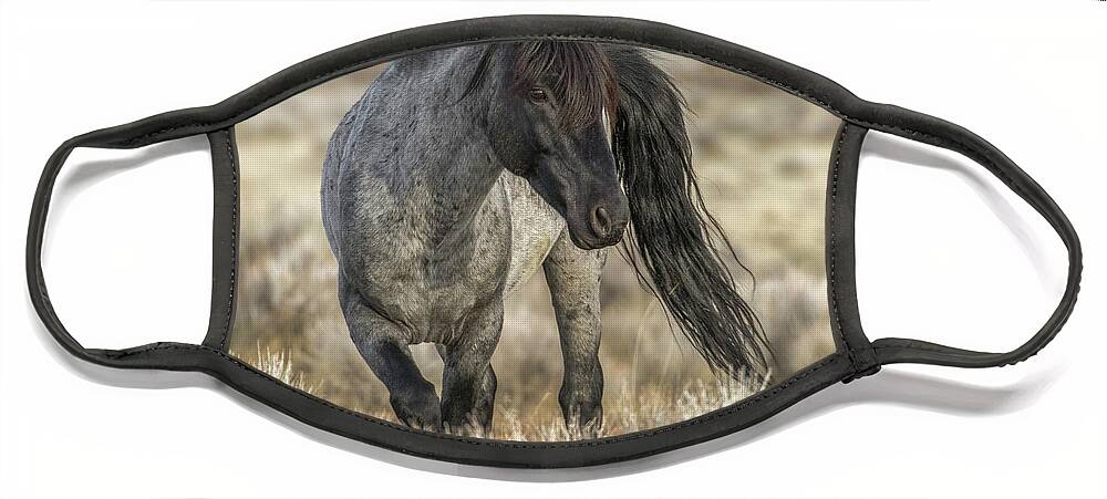 Mustang Face Mask featuring the photograph Blue by John T Humphrey