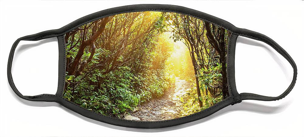 Landscape Face Mask featuring the photograph Blue Ridge Mountains NC A Light To My Path by Robert Stephens