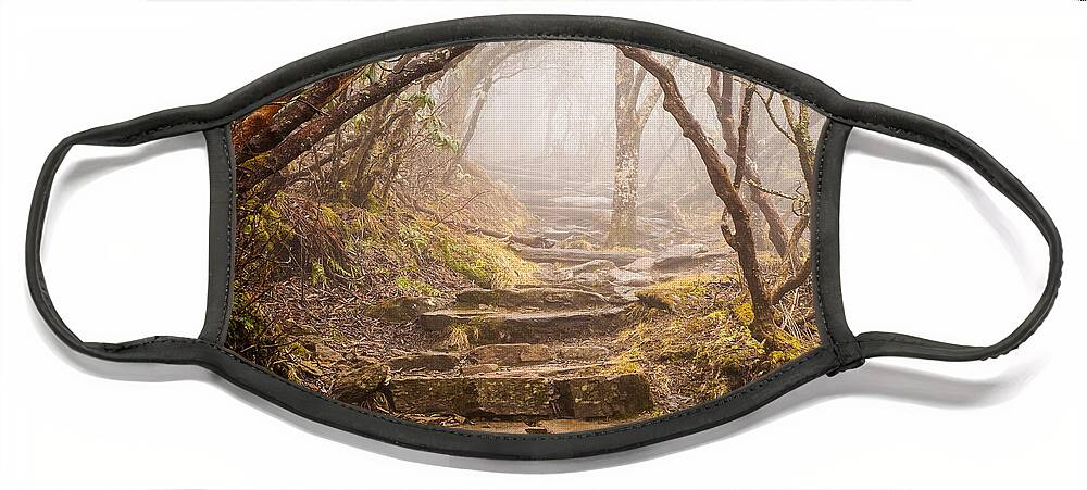 Outdoors Face Mask featuring the photograph Blue Ridge Mountains NC Into The Mystic by Robert Stephens