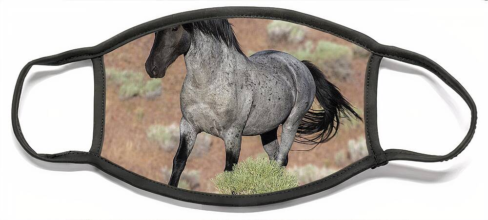Wild Horse Face Mask featuring the photograph Blue surprise by John T Humphrey