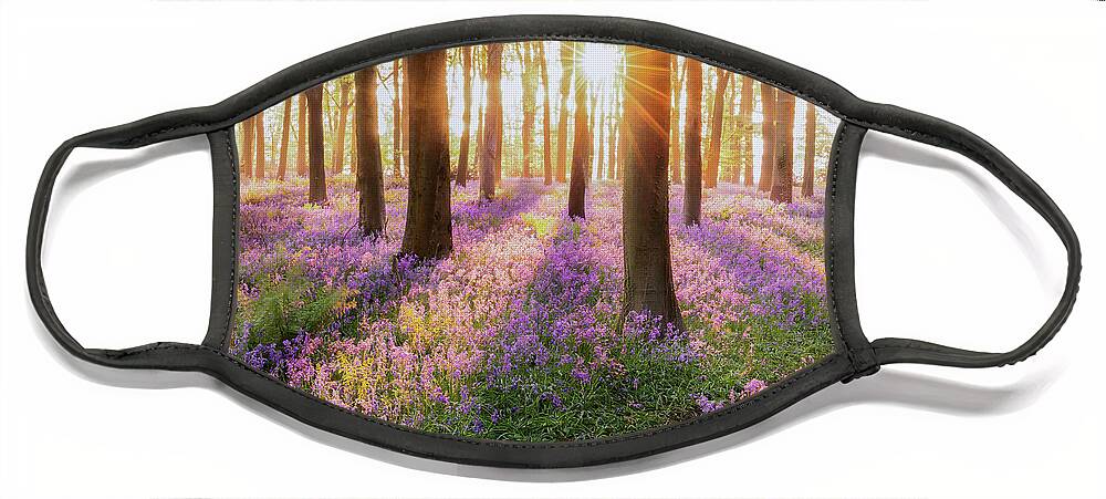 Bluebells Face Mask featuring the photograph Bluebell forest path at sunrise by Simon Bratt