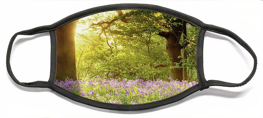 Bluebells Face Mask featuring the photograph Bluebell wood with magical morning sunrise by Simon Bratt