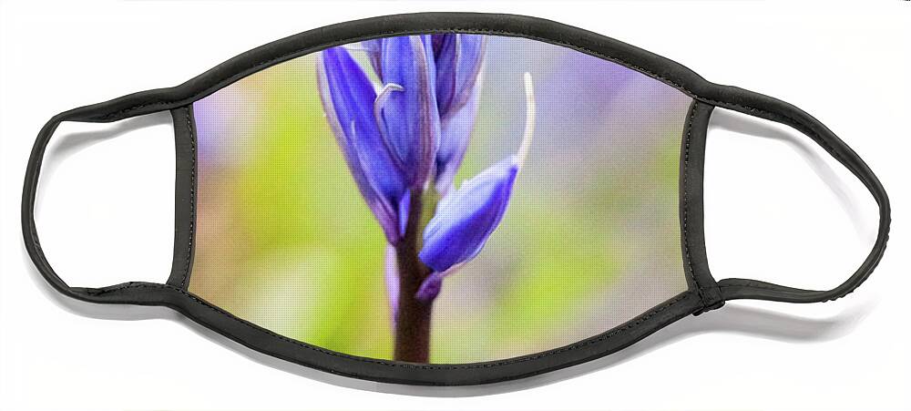 Mtphotography Face Mask featuring the photograph Bluebells by Mariusz Talarek