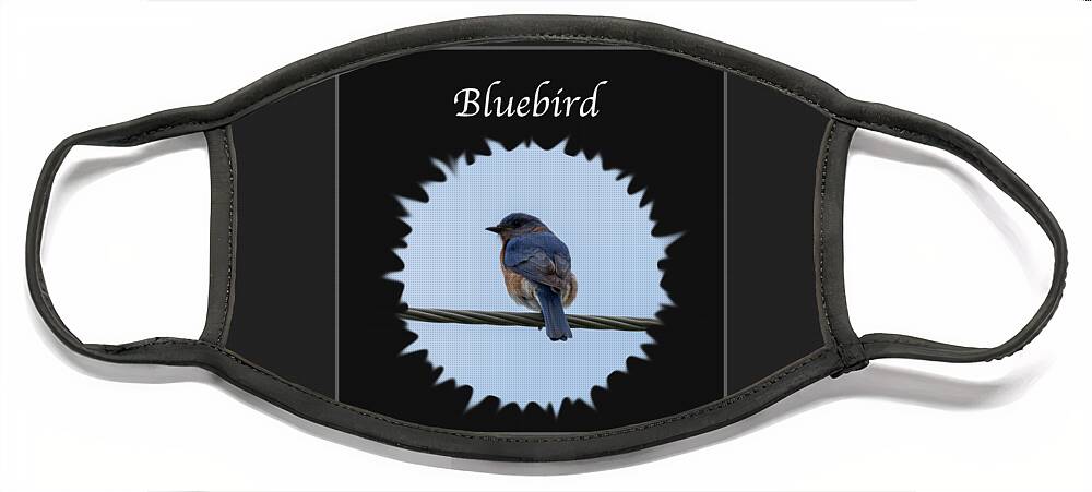 Eastern Bluebird Face Mask featuring the photograph Bluebird by Holden The Moment