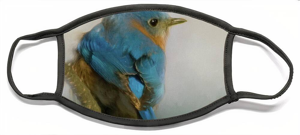 Eastern Face Mask featuring the photograph Bluebird by Lana Trussell