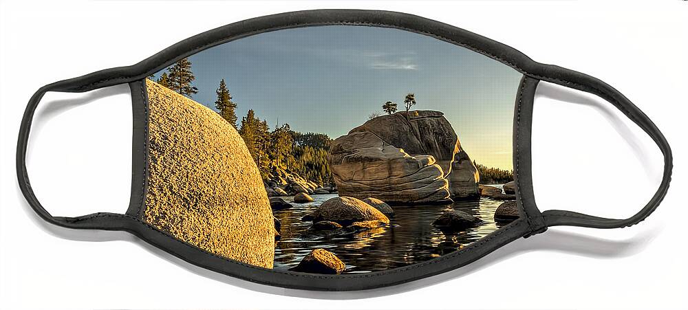 Background Face Mask featuring the photograph Bonsai Rock by Maria Coulson
