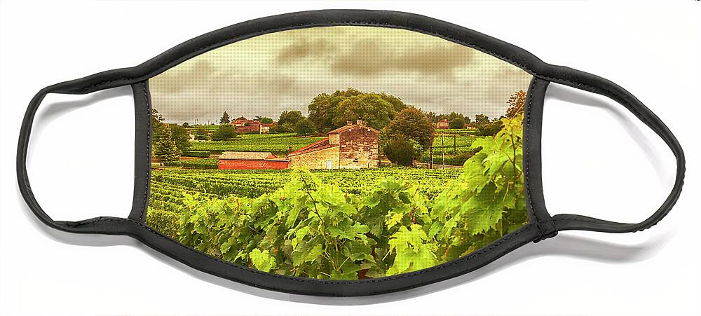 Old Face Mask featuring the photograph Bordeaux country side panorama by Ariadna De Raadt