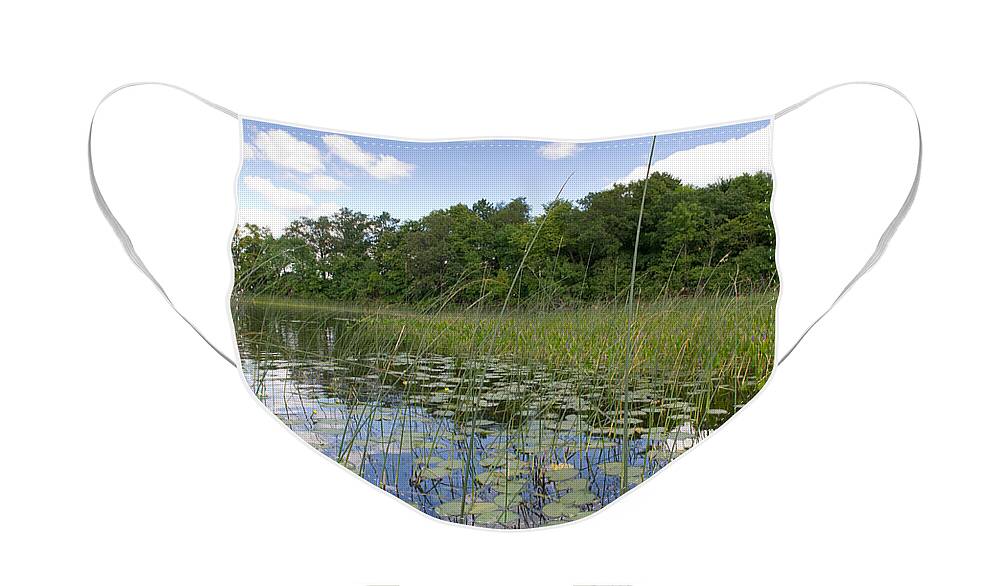 Borden Lake Face Mask featuring the photograph Borden Lake lily pads by Gary Eason