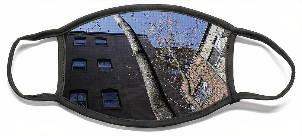 Perspective Face Mask featuring the photograph Boston by Valerie Collins
