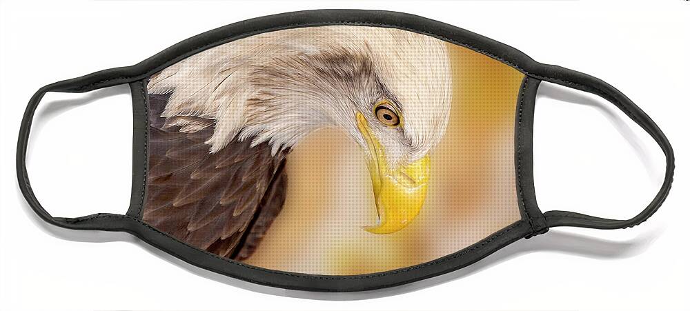 Bald Eagle Face Mask featuring the photograph Bow Your Head and Prey by Bill and Linda Tiepelman