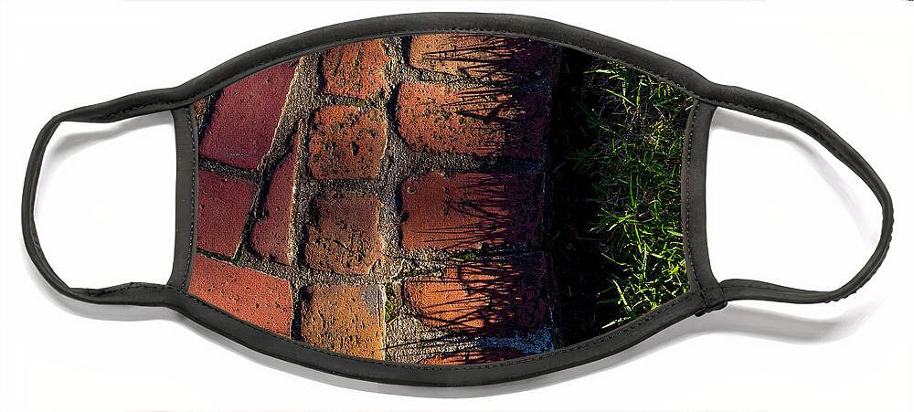 Bricks Face Mask featuring the photograph Brick Path in Afternoon Light by Derek Dean