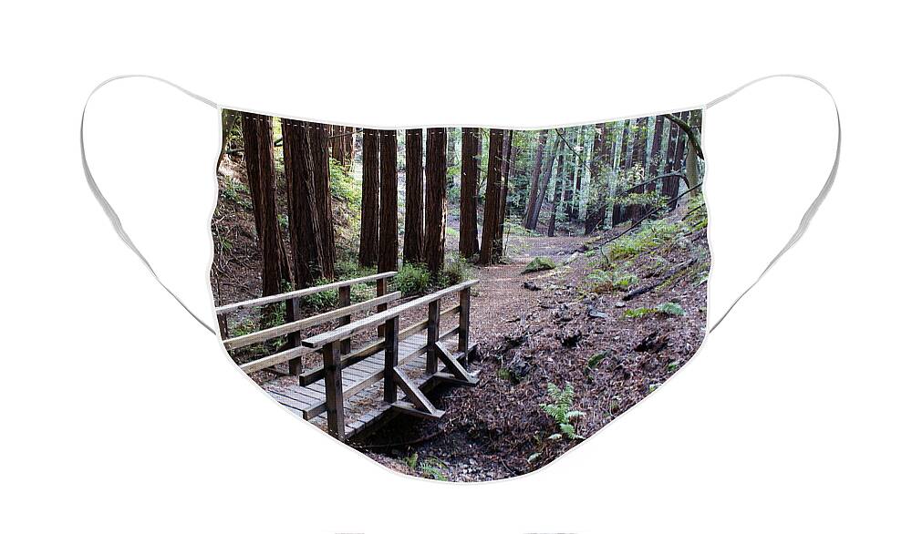 Mount Tamalpais Face Mask featuring the photograph Bridge in the Redwoods by Ben Upham III