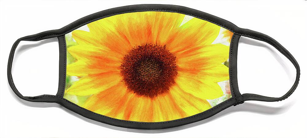 Sunflower Face Mask featuring the photograph Bright Yellow Sunflower - Painted Summer Sunshine by Anita Pollak