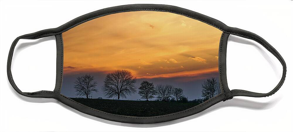 Sky Face Mask featuring the photograph Brilliant Canopy by Tana Reiff