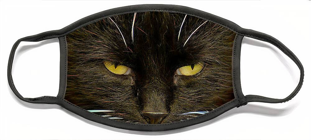 #house#world#cat#brilliant#concept#abstract#art#digital#hunter#colours#yard#fine#light#portrait#fine# Face Mask featuring the photograph Brilliant Cat... by Aleksandrs Drozdovs