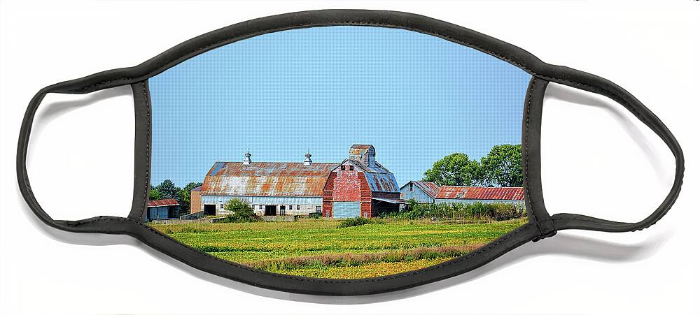 Farm Face Mask featuring the photograph Bristow Iowa Soybeans by Bonfire Photography
