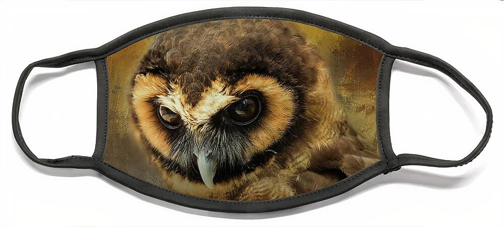 Brown Wood Owl Face Mask featuring the photograph Brown Wood Owl by Eva Lechner