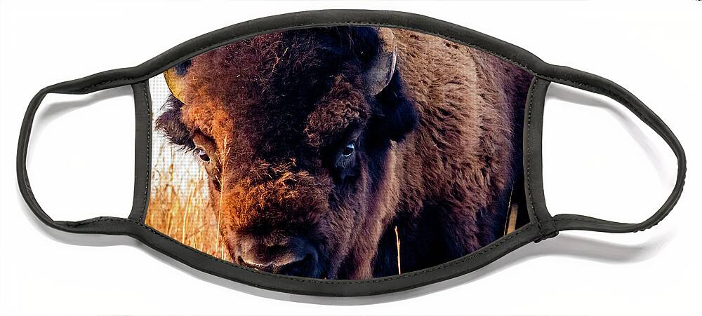 Jay Stockhaus Face Mask featuring the photograph Buffalo Face by Jay Stockhaus