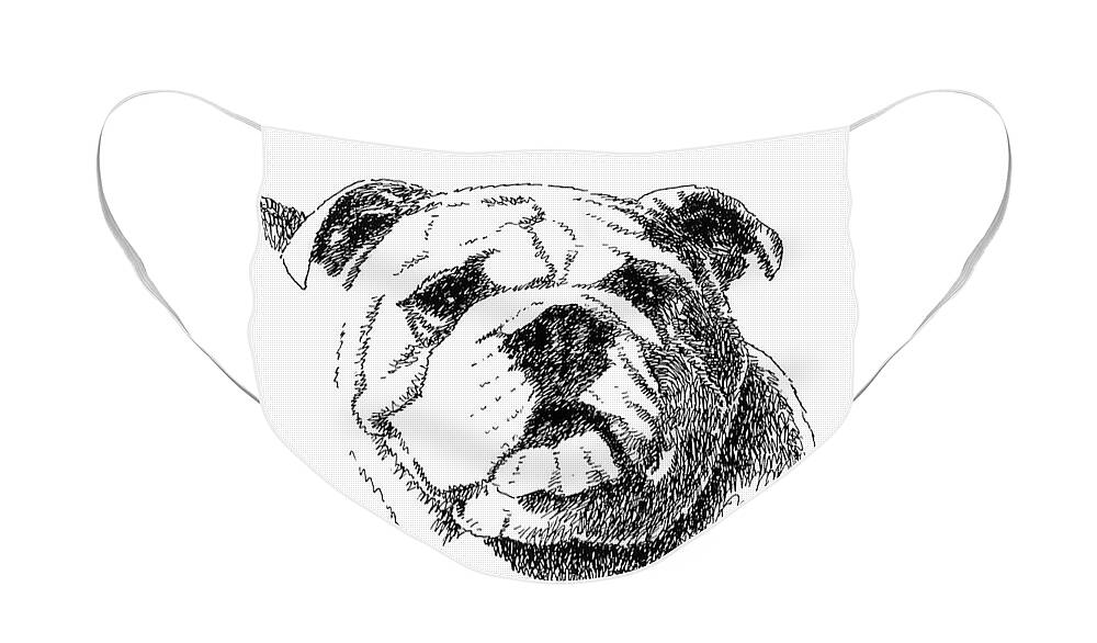 Bulldog Face Mask featuring the drawing Bulldog-Portrait-Drawing by Gordon Punt