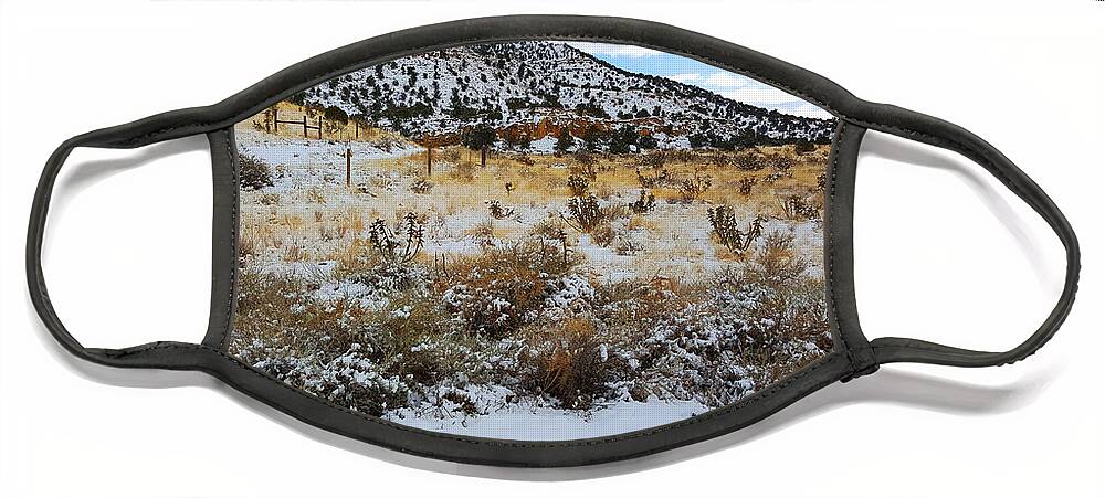 Southwest Landscape Face Mask featuring the photograph Cactus in the snow by Robert WK Clark
