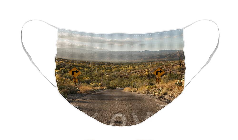 America Face Mask featuring the photograph Cactus Landscape by Juli Scalzi