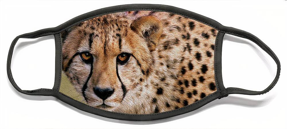 Cheetah Face Mask featuring the photograph Calculated Look by Art Cole