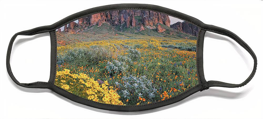00175967 Face Mask featuring the photograph California Brittlebush Lost Dutchman by Tim Fitzharris