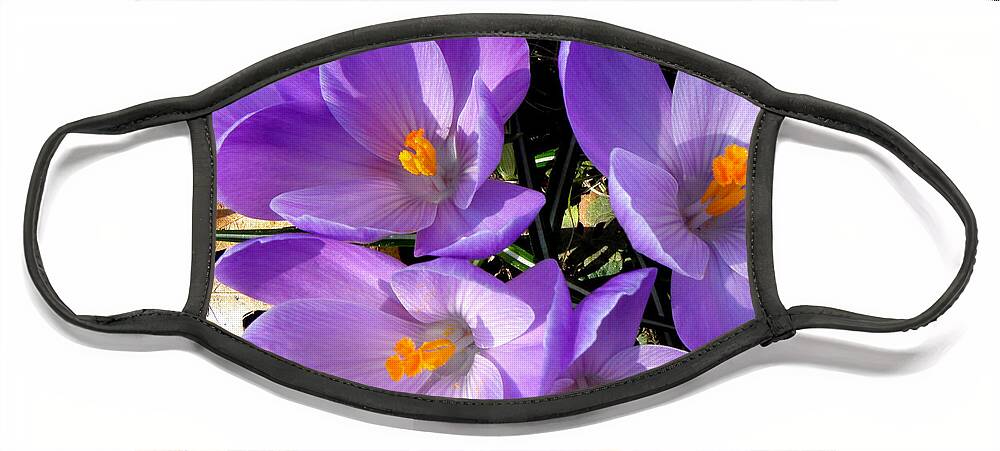 Spring Face Mask featuring the photograph Can you say PURPLE by Kim Galluzzo Wozniak